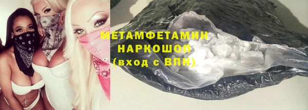 шишки Няндома