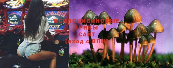 винт Гусев