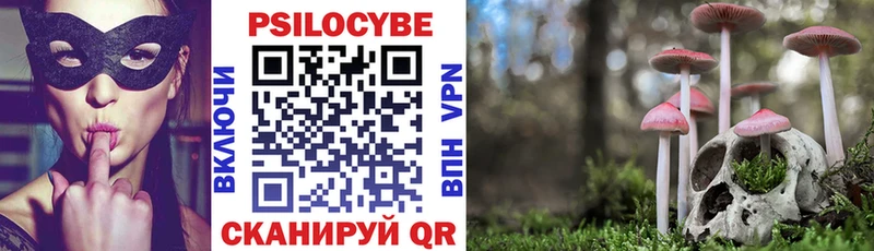 Галлюциногенные грибы мицелий  Купить закладки  Козловка 